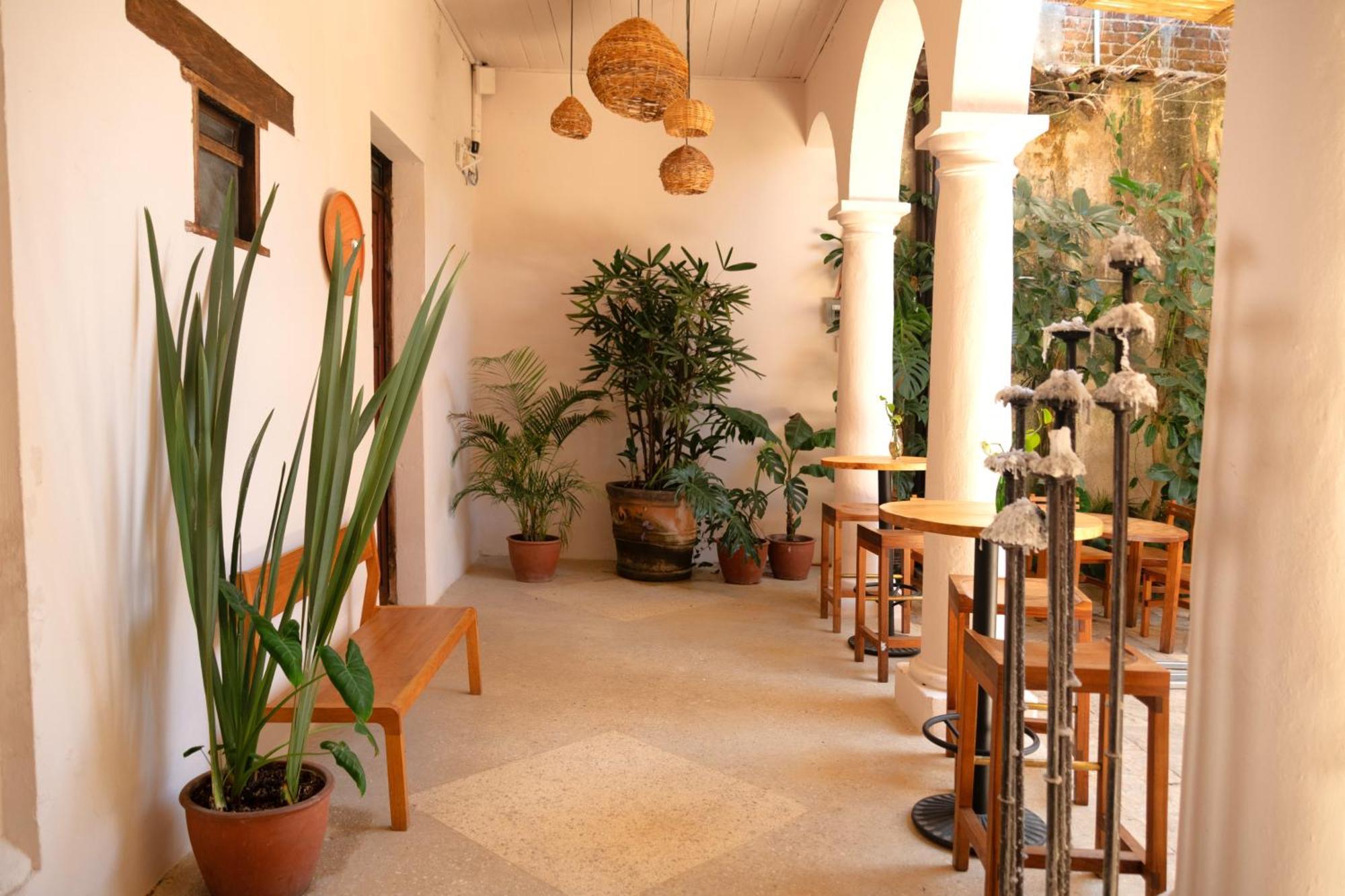 Sereno Hotel San Cristóbal de Las Casas Dış mekan fotoğraf