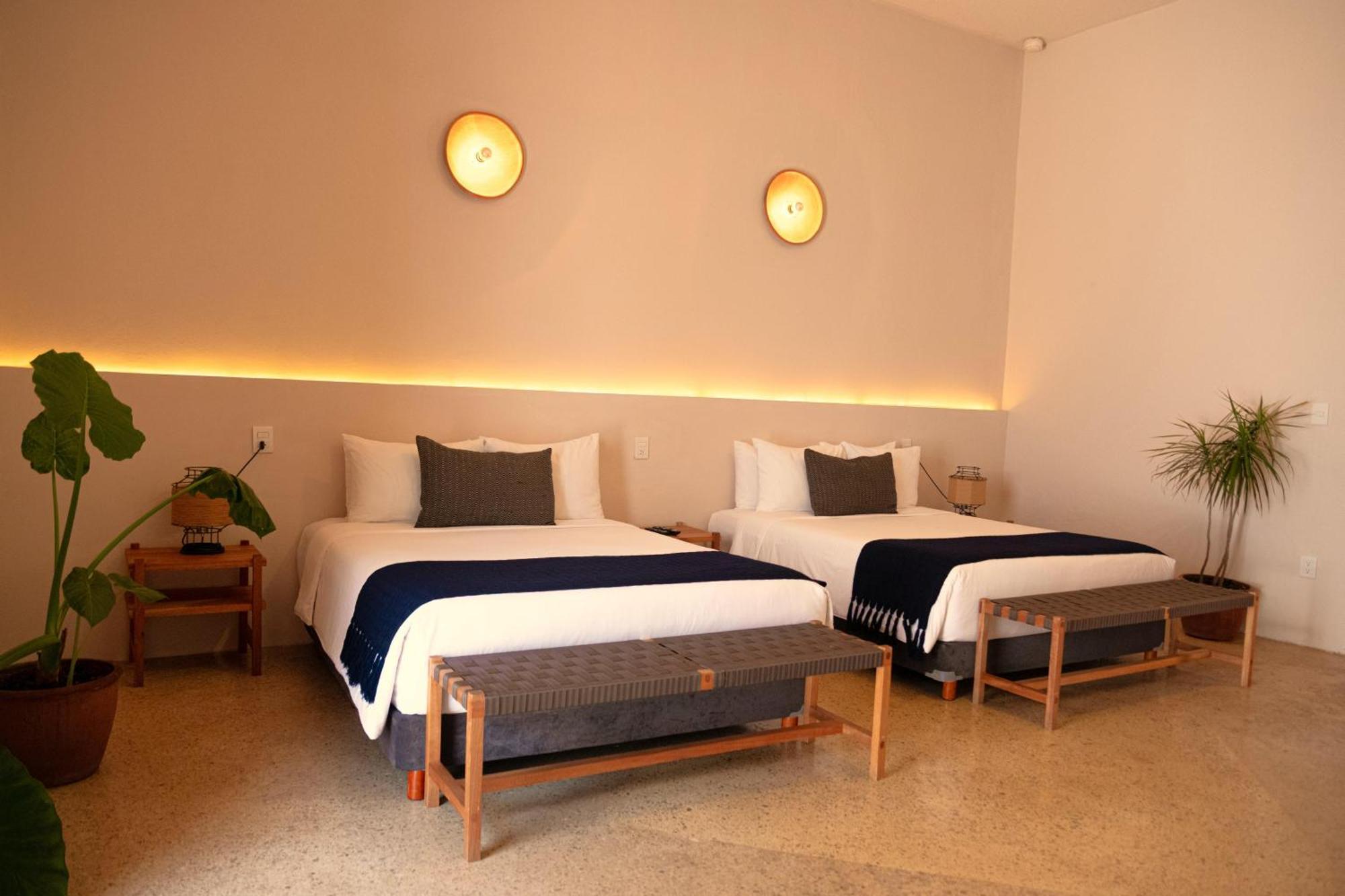 Sereno Hotel San Cristóbal de Las Casas Dış mekan fotoğraf